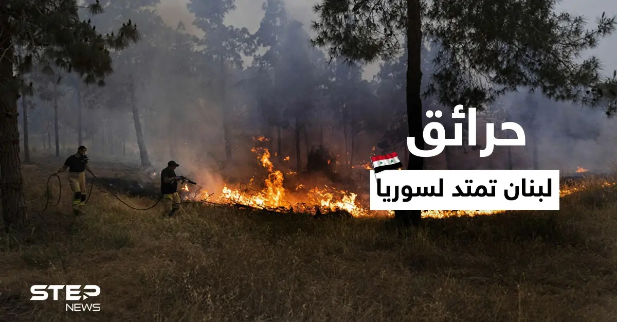 لليوم الثالث.. حرائق ضخمة مستمرة في شمال لبنان وتمتد إلى سوريا (فيديو): حرائق لبنان