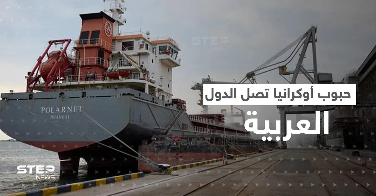 أول سفينة أوكرانية محملة بالحبوب رفضها لبنان فاطفأت جهاز التعقب ووجدت وجهة ثانية: مرسين