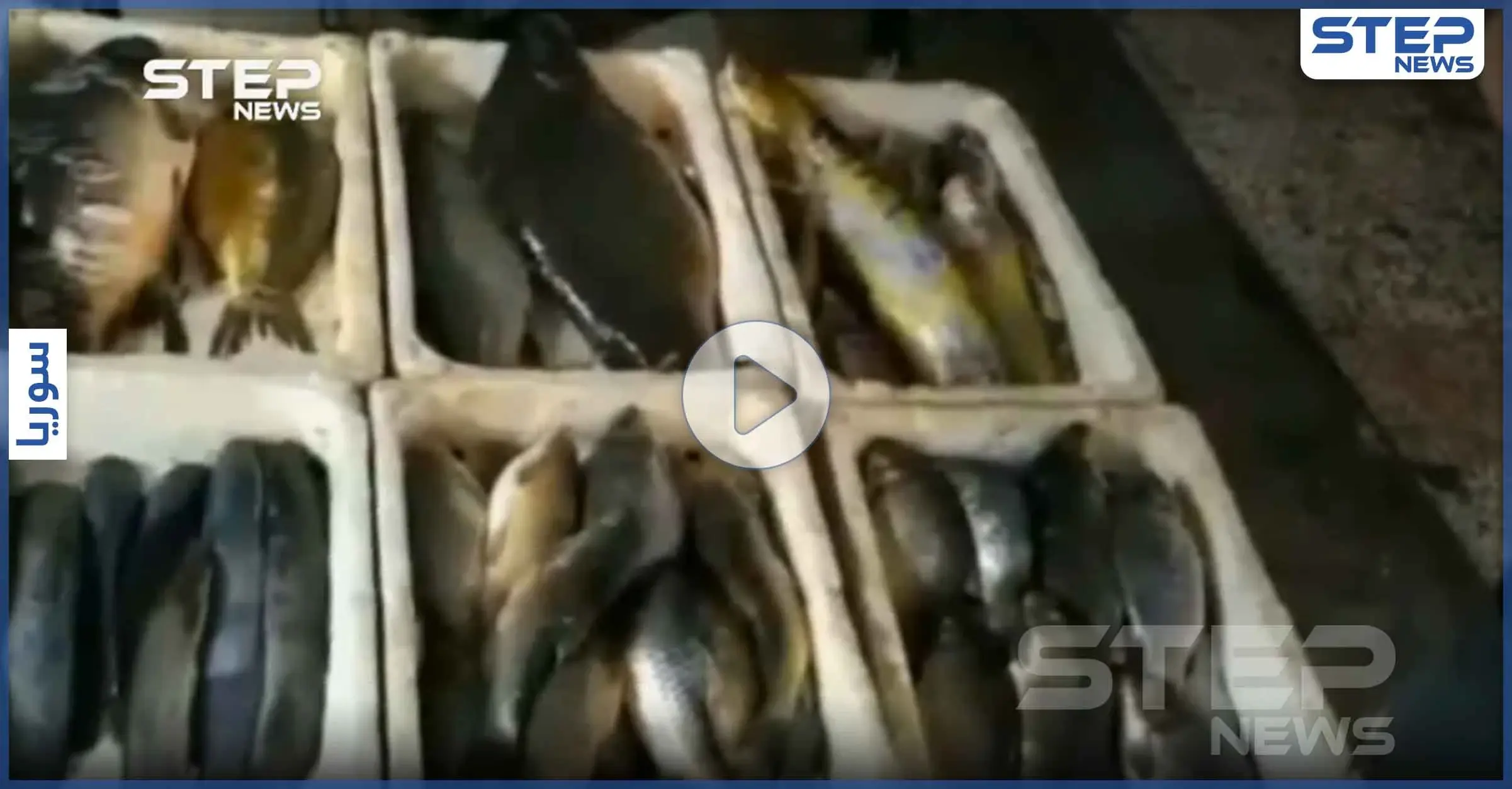 جولة مصورة داخل سوق الهال بمدينة الحسكة: انهيار الليرة السورية