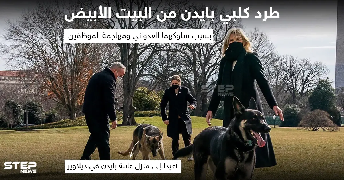 طرد كلبي الرئيس الأمريكي جو بايدن من البيت الأبيض ، بسبب سلوكهما العدواني ومهاجمة الموظفين: سلوك عدواني