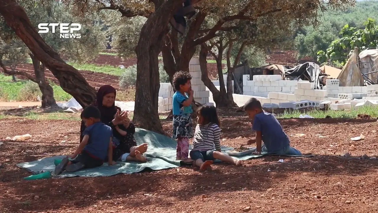 مهجرون من داريا يقدمون المساعدة لنازحي ريف إدلب وحماة لإيجاد مأوى لهم من تحت أشجار الزيتون: داريا