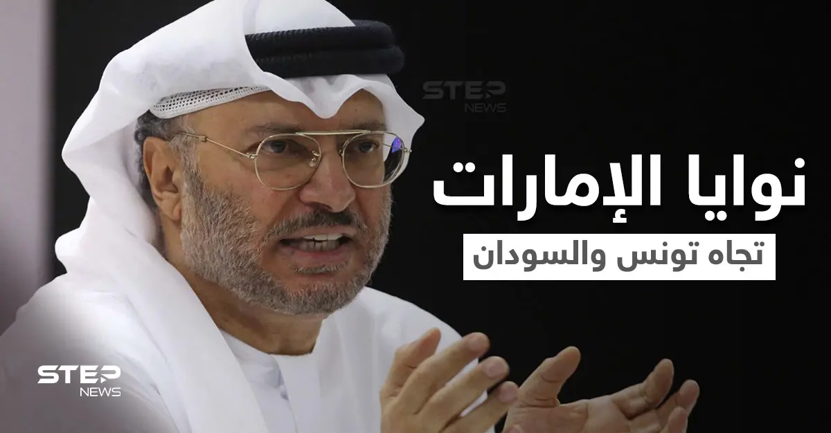 أنور قرقاش يوضح نوايا الإمارات بشأن التطورات الأخيرة في تونس والسودان: أنور قرقاش