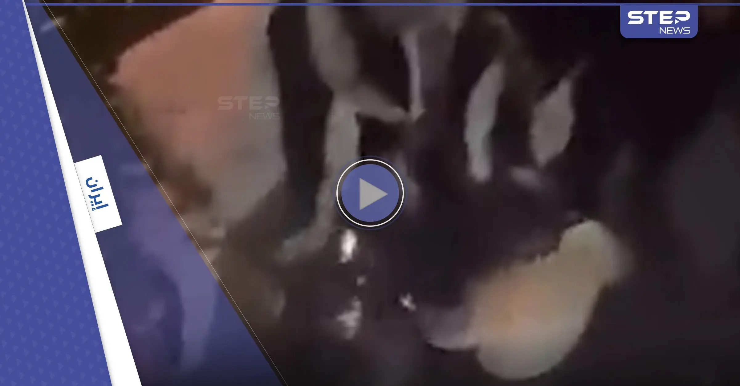 بالفيديو|| الاعتداء على متظاهر بالعصي يثير الغضب في إيران: مظاهرات إيران