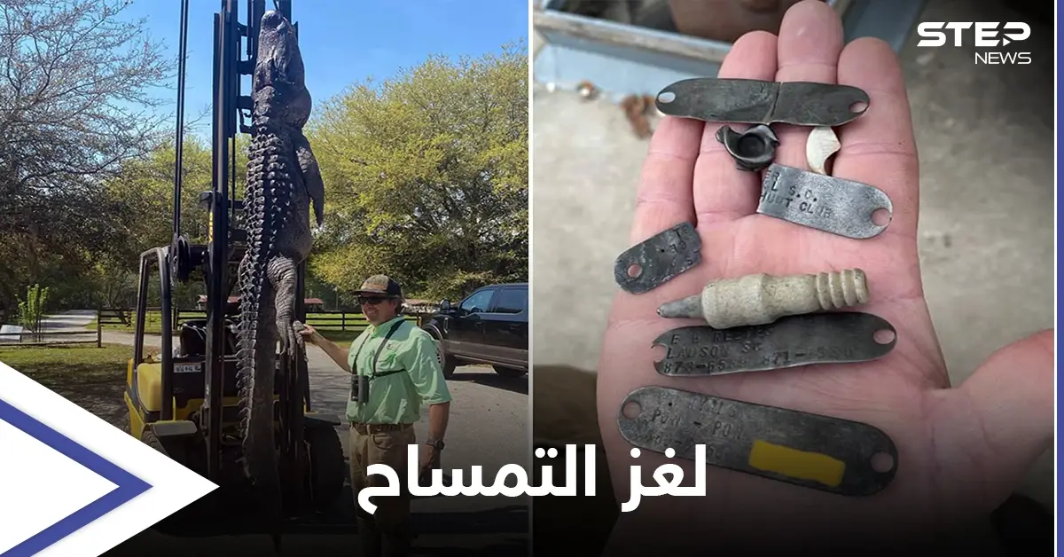 شاهد بالصور|| صيد تمساح عملاق يكشف لغز عمره 24 عاماً: تمساح