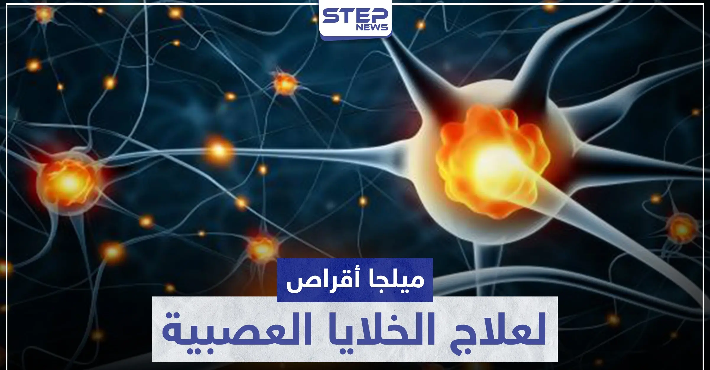 ميلجا أقراص MILGA لعلاج الخلايا العصبية: إرشادات عامة