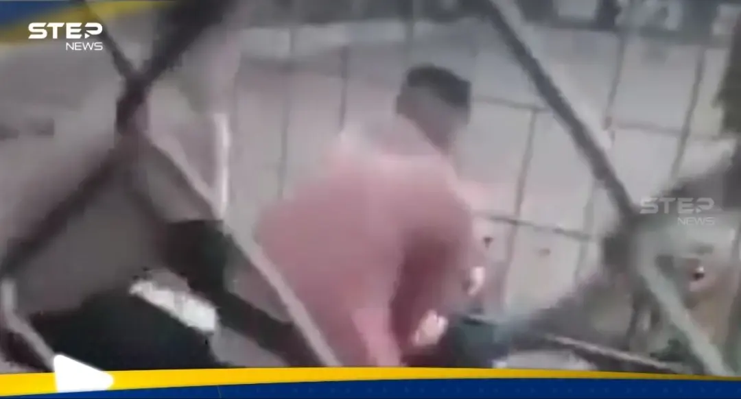 بالفيديو|| نمر يهاجم طفلاً ويسحبه من قدميه في حديقة ببغداد والسلطات تكشف مصيره: نمر يفترس طفلا