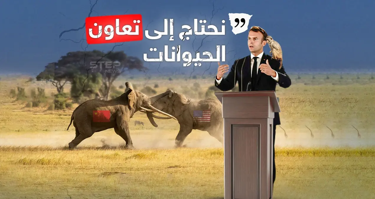 وصف العالم بالغابة وأمريكا والصين بالفيلة.. ماكرون يعبّر عن رفضه للمواجهة ويدعو القردة للتعاون: إنفوغرافيك