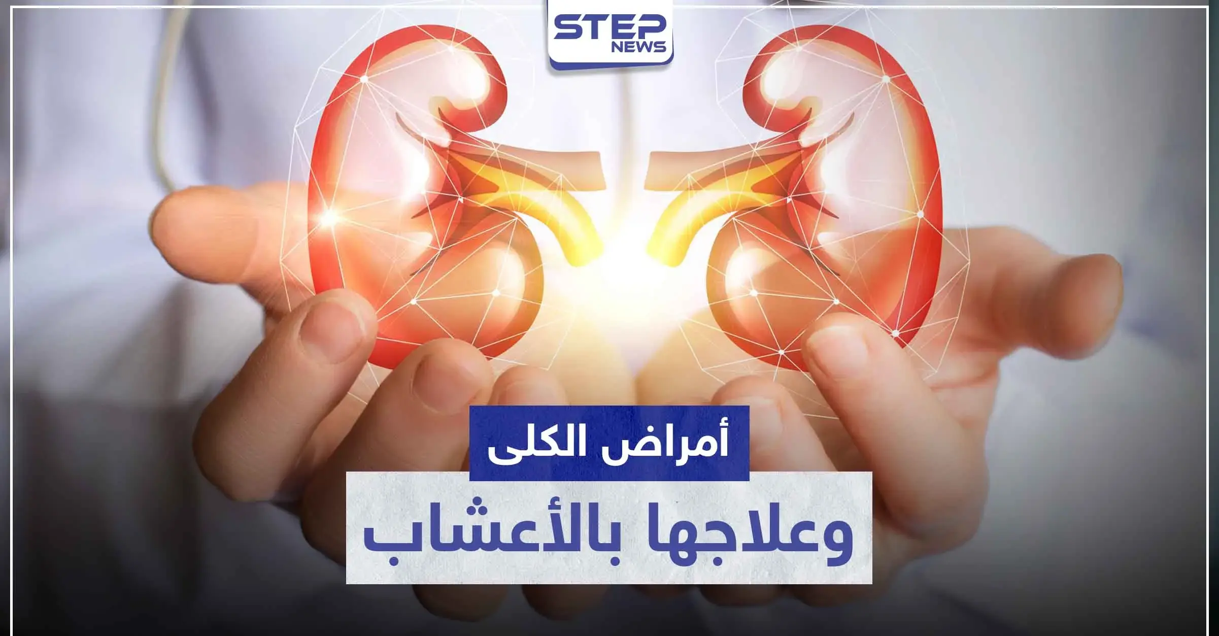 أمراض الكلى الشائعة.. و 8 أعشاب طبيعية لعلاجها: التوت البري