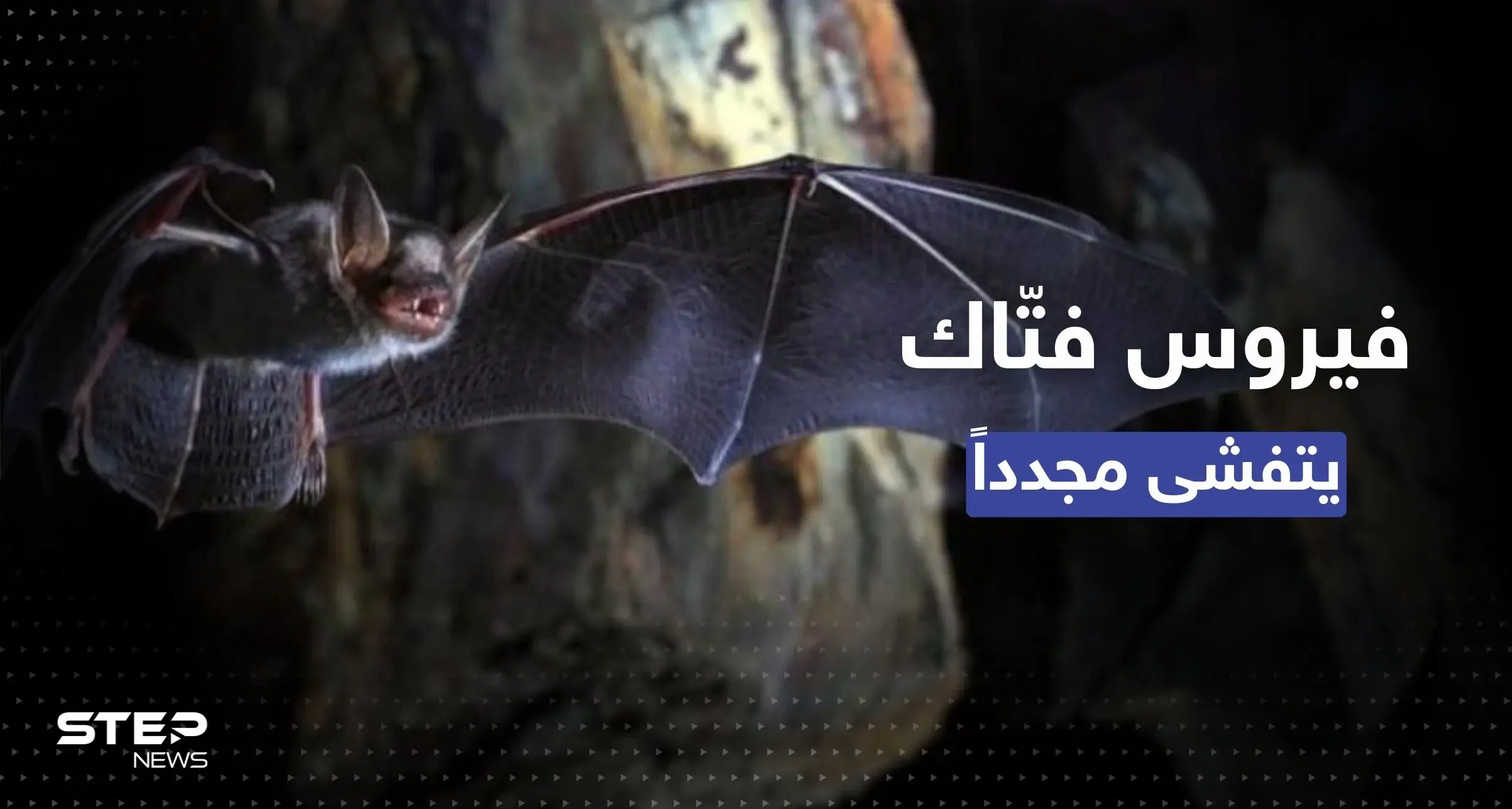 فيروس "فتّاك" يعود من جديد.. الصحة العالمية تؤكد: أول تفشٍ بغينيا الاستوائية: فيروس ماربورغ