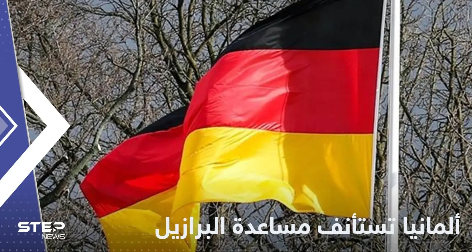 بعد فوز دا سيلفا.. ألمانيا تعلن استئناف مساعدة البرازيل في حماية الغابات: البرازيل