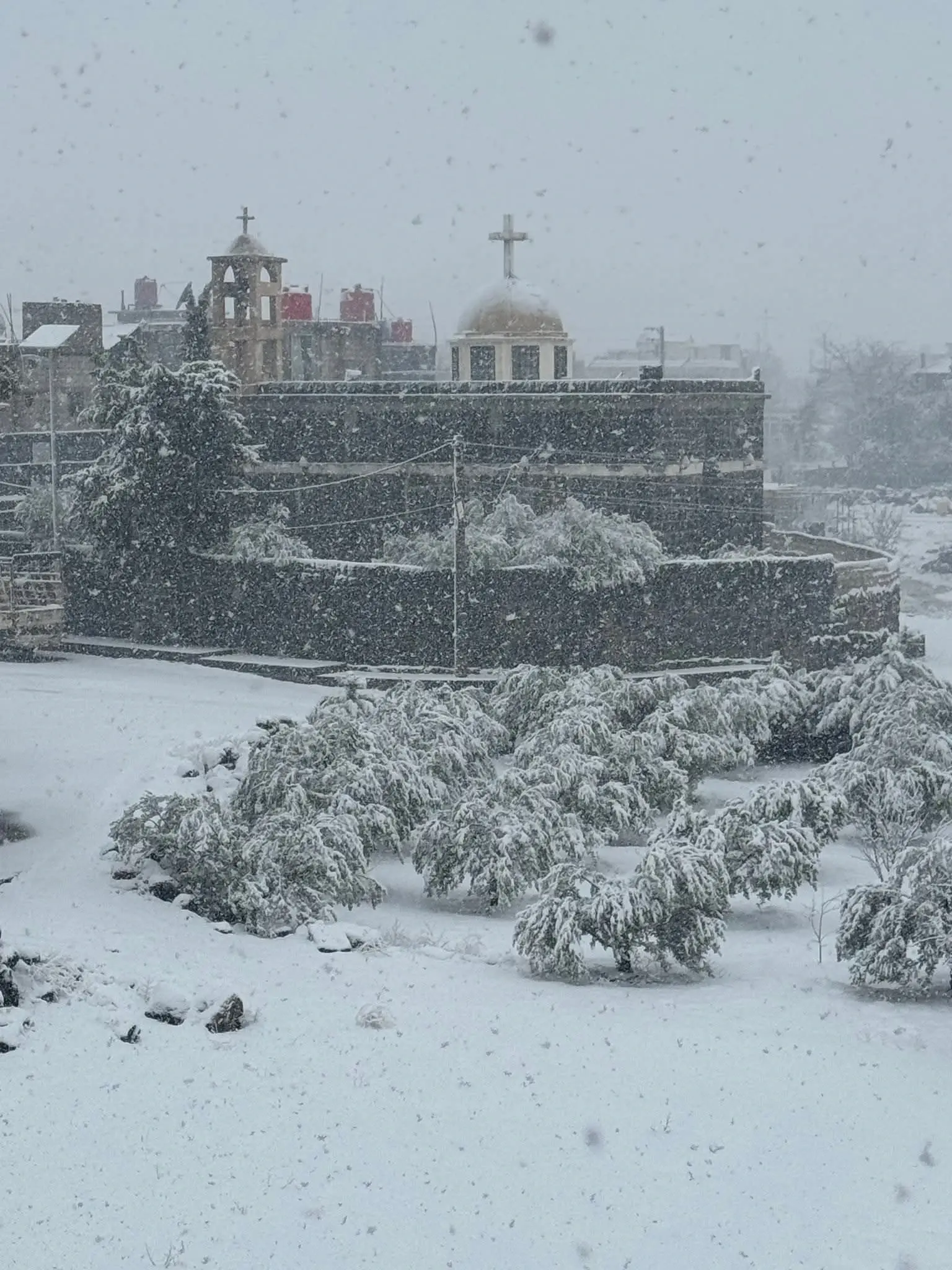 السويداء بلدة عرمان - عدسة الجمهور - وكالة ستيب نيوز