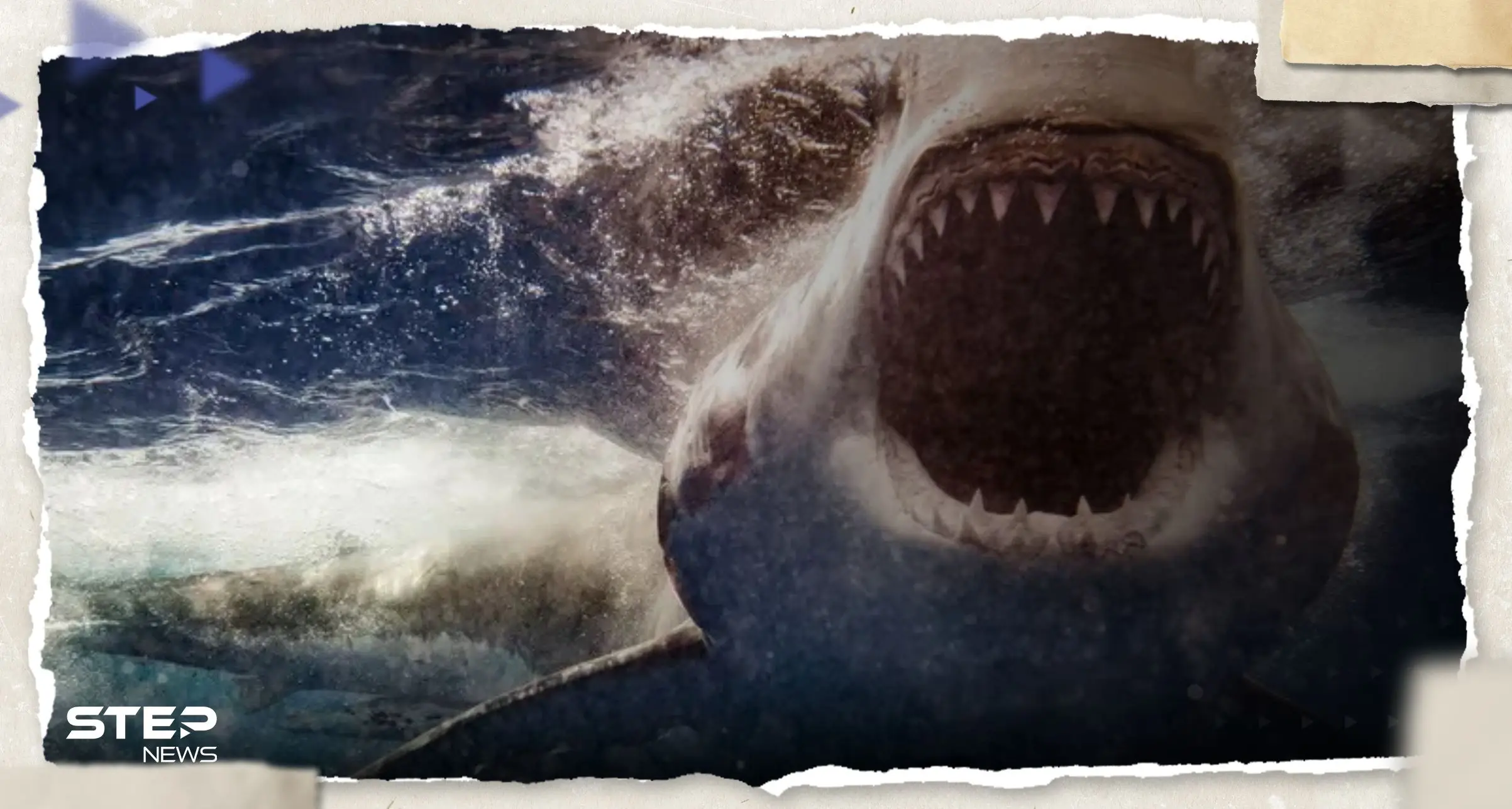 تفاصيل جديدة تكشف السبب الحقيقي لهجوم سمكة القرش على السائح الروسي (فيديو): هجوم سمكة القرش
