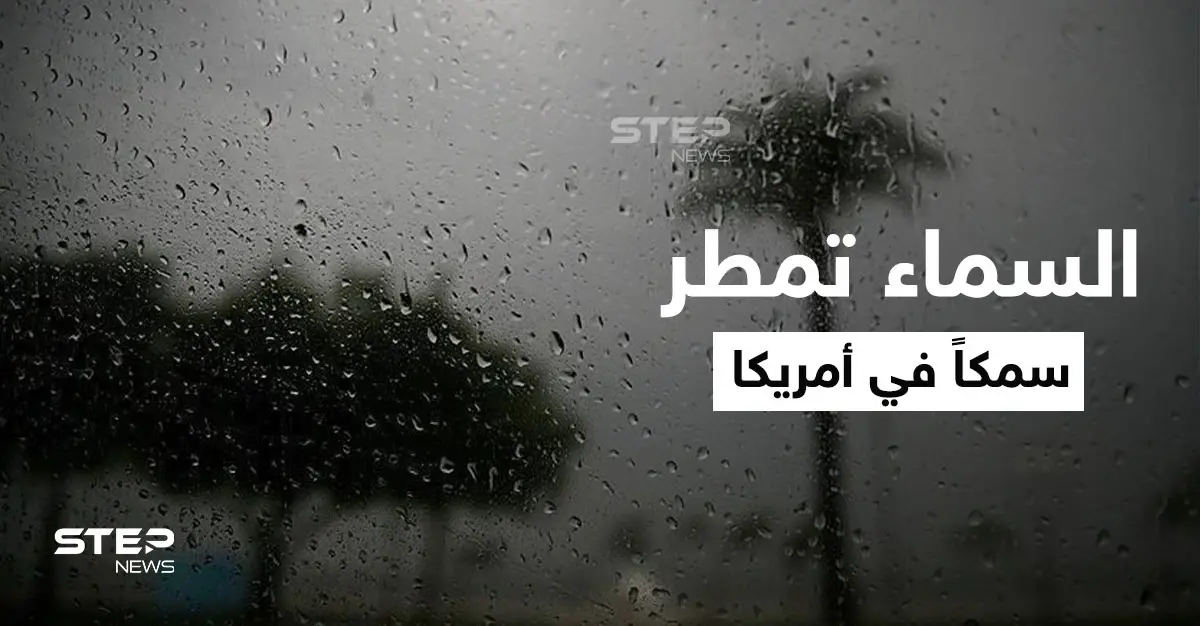 شاهد|| مدينة أمريكية تشهد ظاهرة غريبة مع نهاية عام 2021.. السماء تمطر أسماكاً مع الأمطار وتملأ الشوارع (فيديو): ولاية تكساس الأمريكية