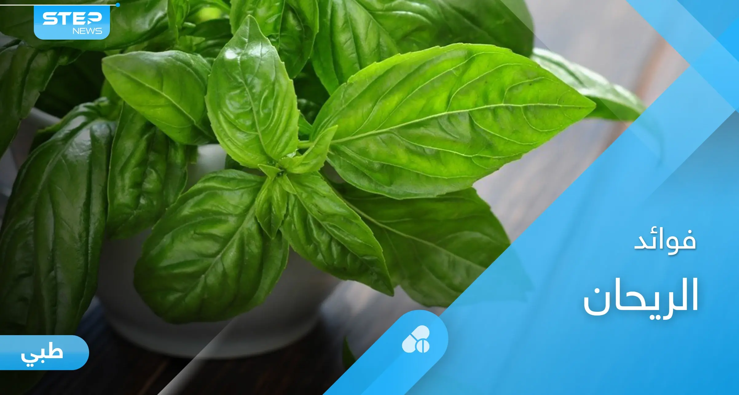 الريحان.. العشبة السحرية وفوائد لا تحصى لصحة الإنسان: الريحان