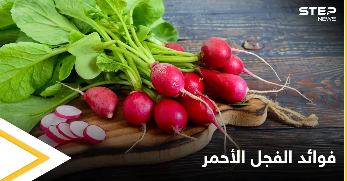 يمتلك تأثيراً سحرياً على صحة القلب والأوعية.. الفجل الأحمر خواص صحية كثيرة تعرف عليها: فوائد