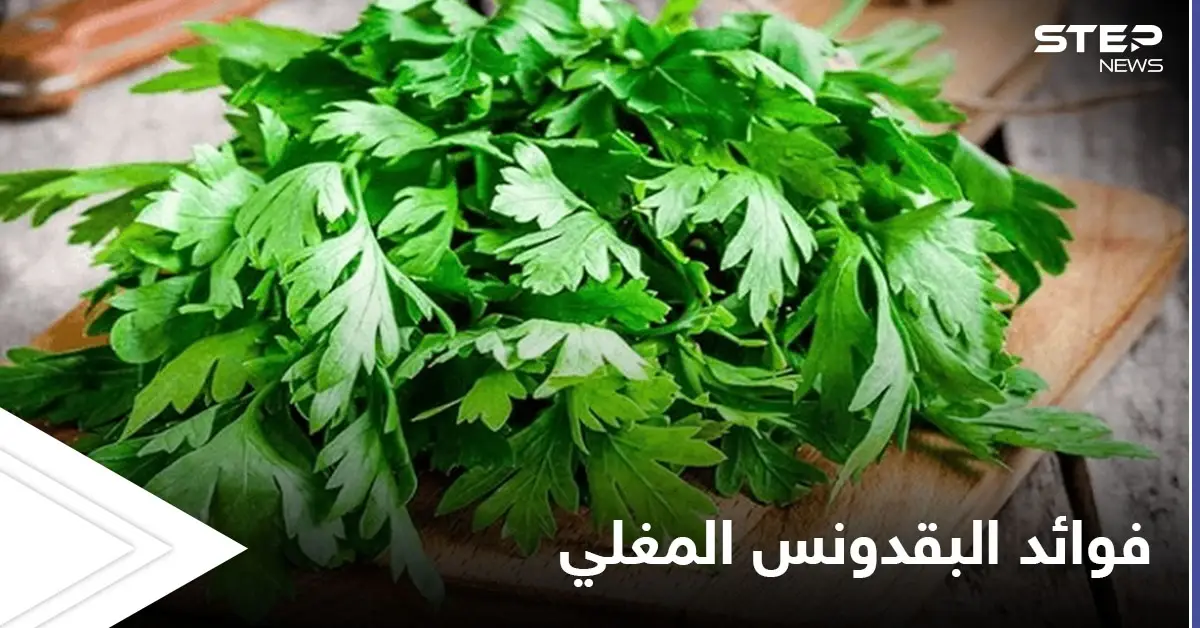 منها علاج الفقر الدم.. فوائد كثيرة لشرب البقدونس المغلي قبل النوم تعرف عليها: البقدونس