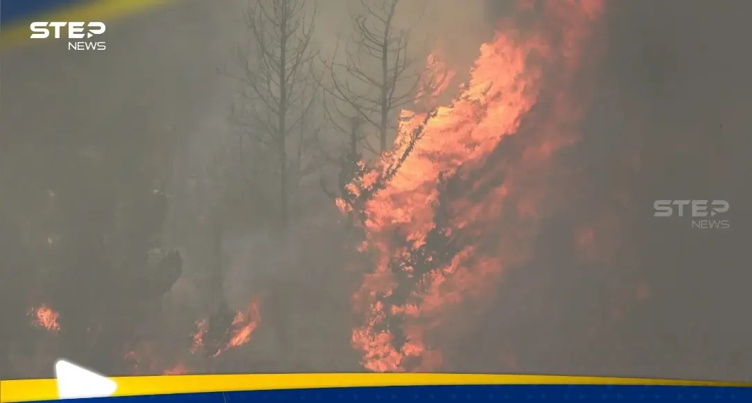 إسرائيل تدخل حالة الطوارئ مع استمرار حرائق جبال القدس: نتنياهو يعلن