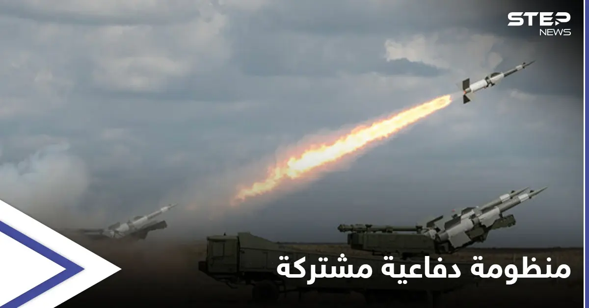 مباحثات روسية طجكية تثمر عن إنشاء نظام دفاع جوي مشترك خدمةً للأهداف التالية: وزير الدفاع الروسي سيرغي شويغو