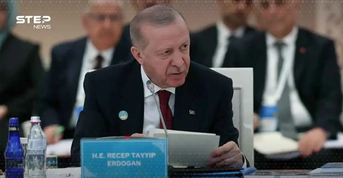 ما الذي وعد به أردوغان لقمة الناتو في أنقرة؟: اخبار العالم