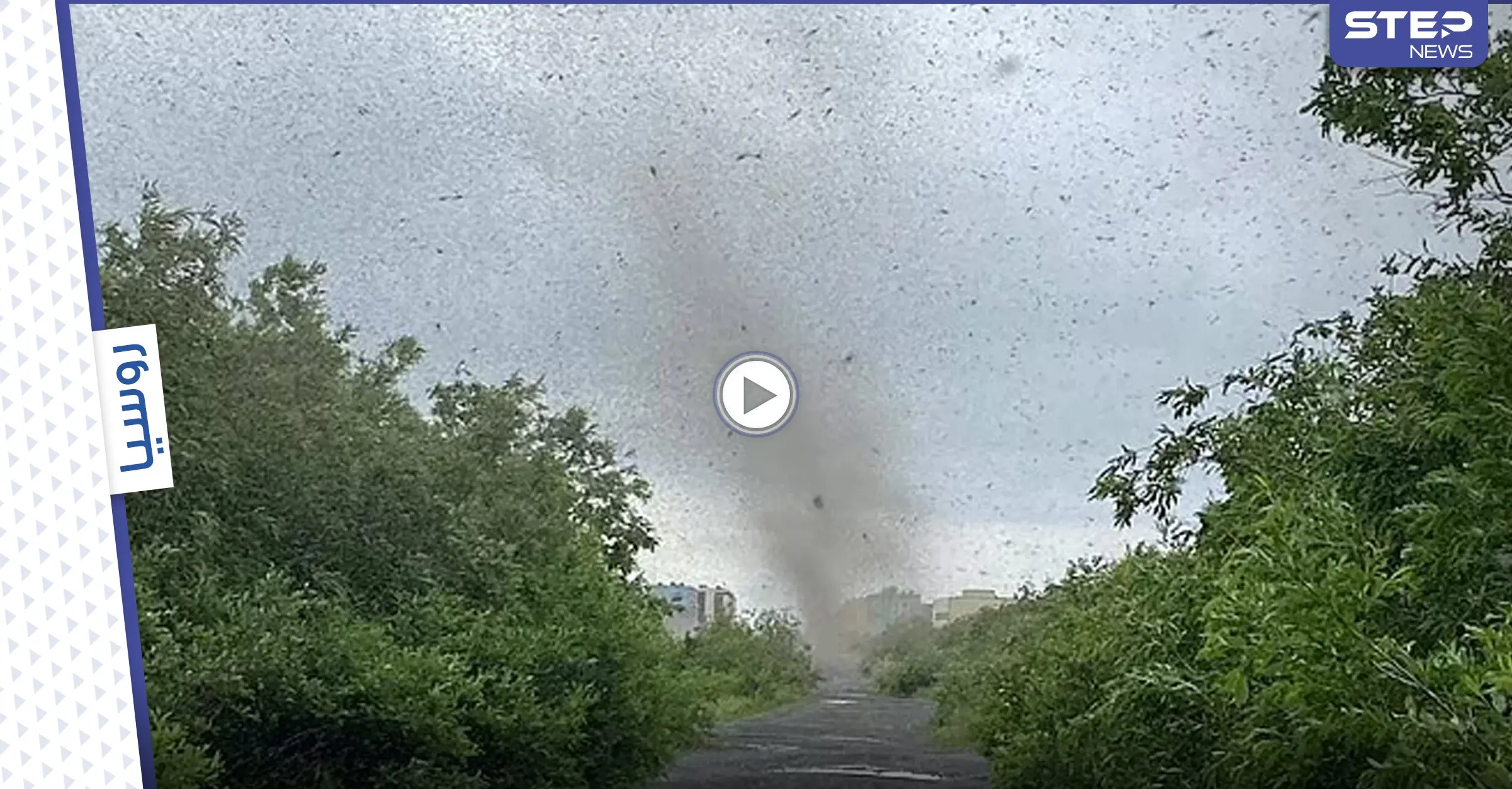 بمشهد مرعب.. إعصار من البعوض يجتاح قرية شرق روسيا ويحجب أشعة الشمس عنها (فيديو): أعاصير