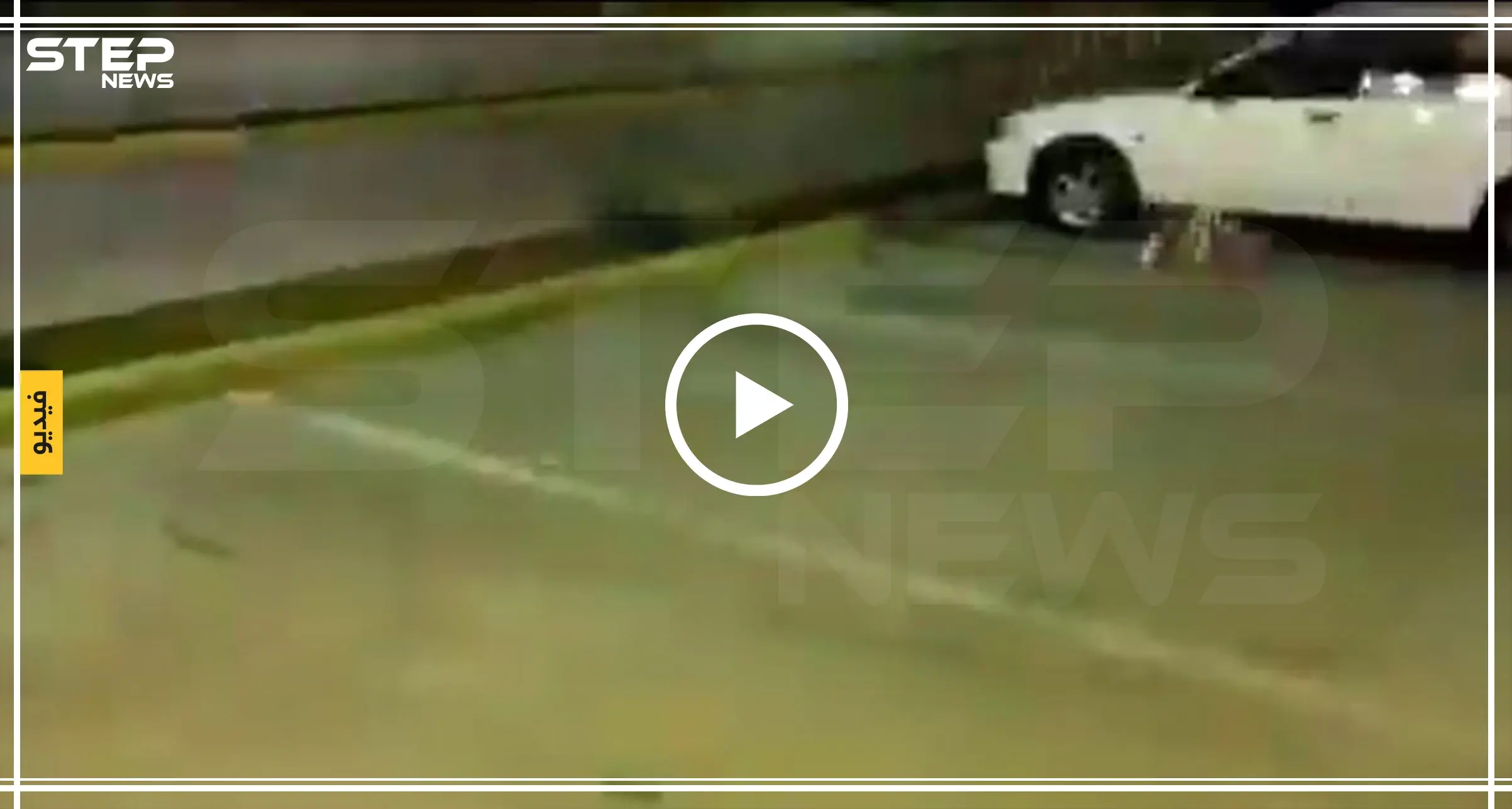 شاهد مخلوق غريب يتجول في السعودية: المملكة العربية السعودية