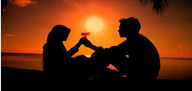 تفسير رؤية الحبيب في المنام لاشهر المفسرين: الحبيب في المنام