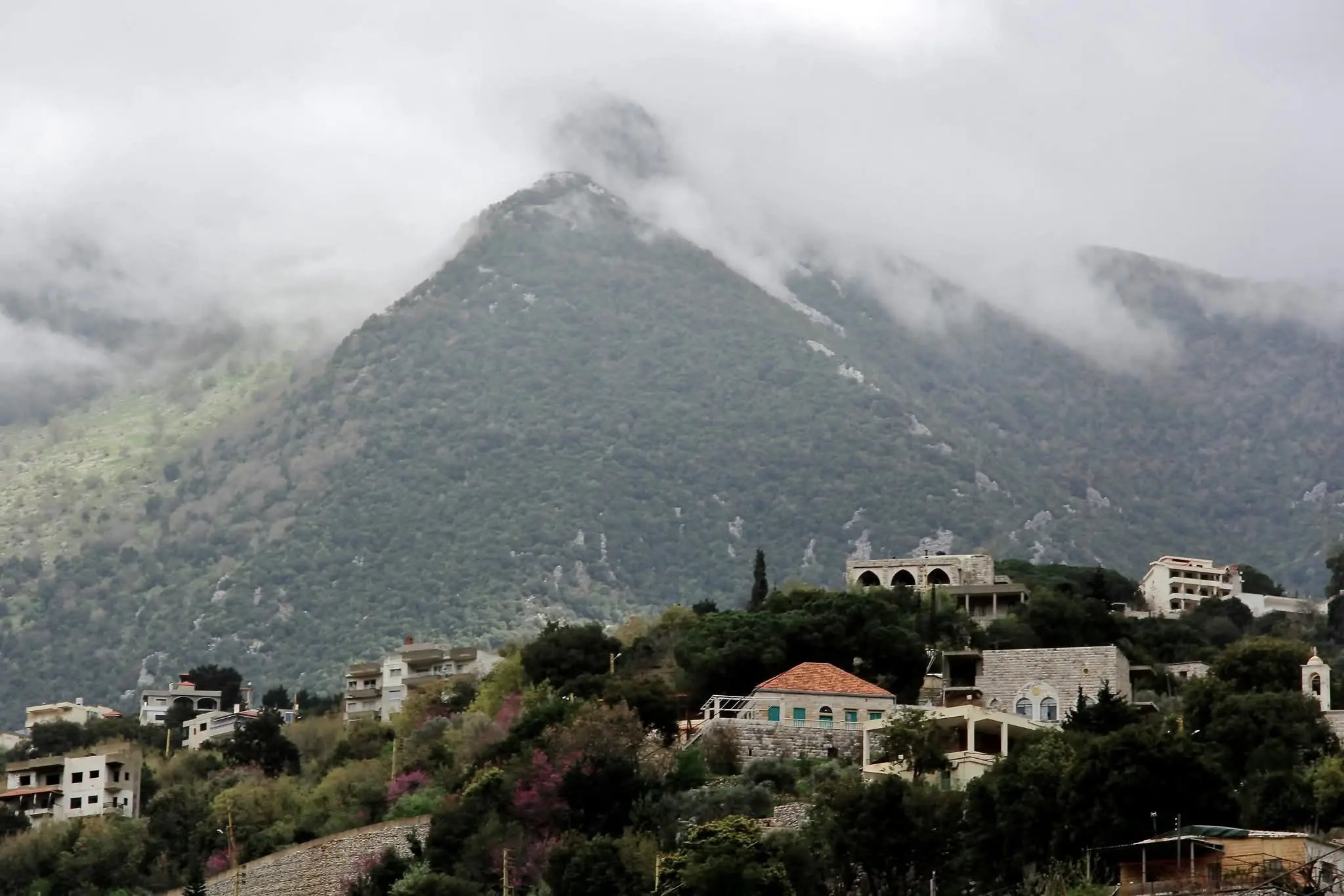 لبنان - عدسة الجمهور - وكالة ستيب نيوز