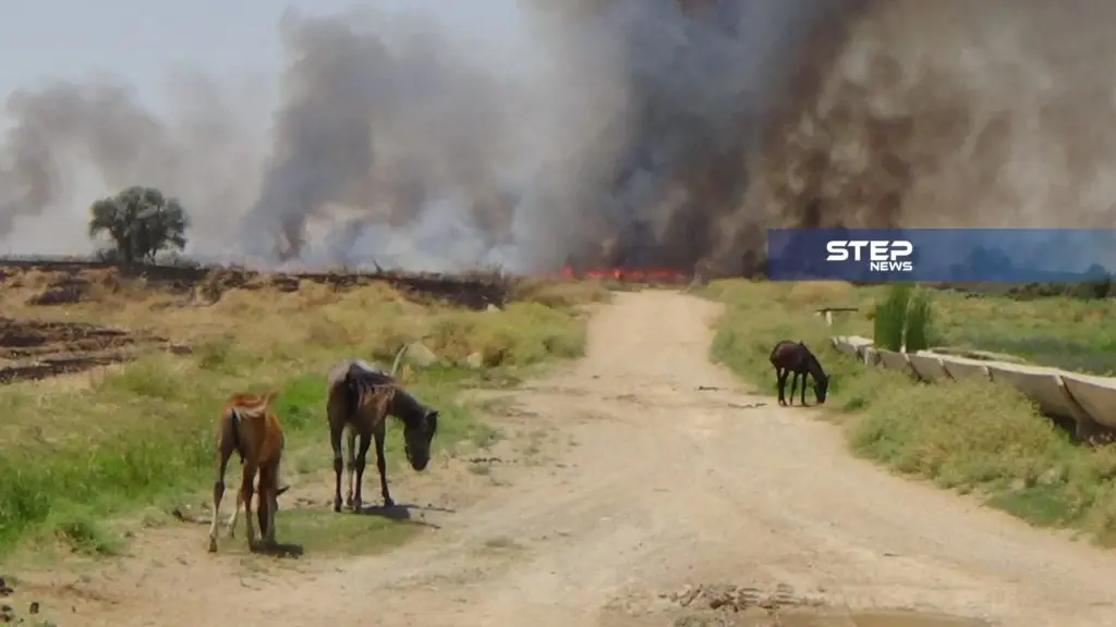 عدسة ستيب ترصد الحرائق في الأراضي الزراعية قرب ناحية الجرنية غرب الرقة: عدسة ستيب