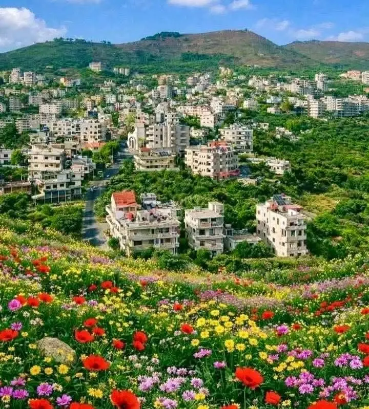 سوريا حمص - عدسة الجمهور - وكالة ستيب نيوز