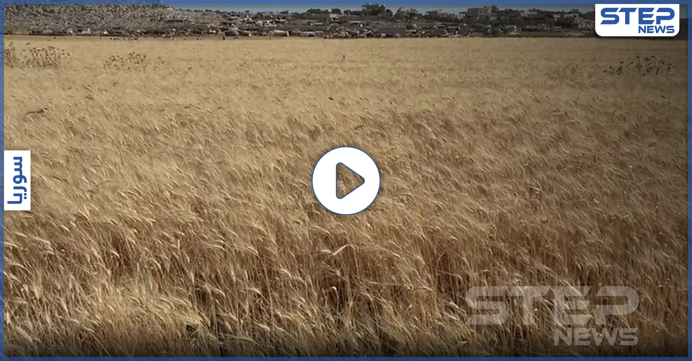 عدسة ستيب ترصد بدء موسم حصاد القمح بريف إدلب وسط صعوبات يواجهها القطاع الزراعي: صعوبات
