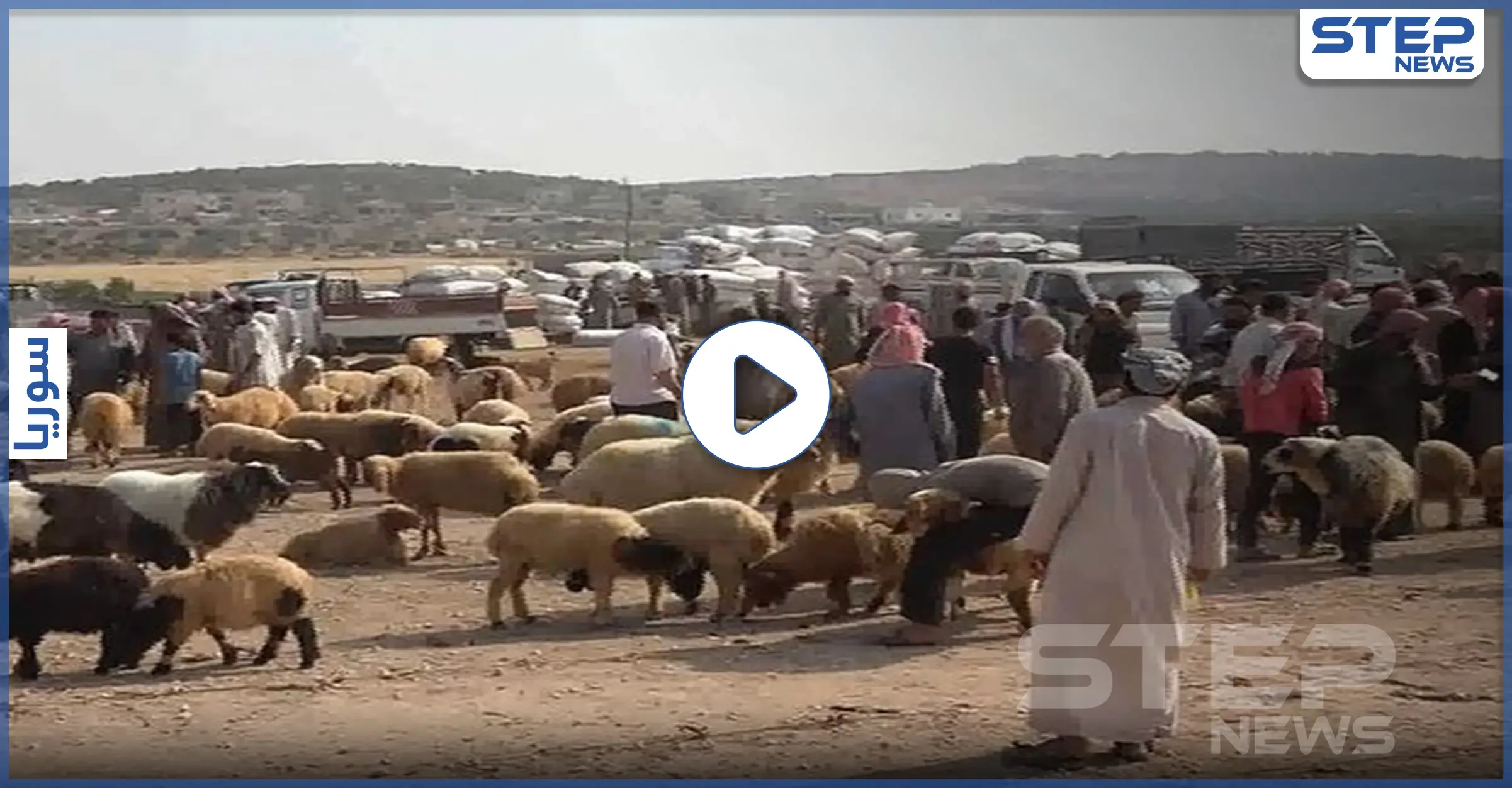 وسط غلاء في أسعارها.. حالة جمود تشهدها أسوق الأضاحي شمالي إدلب: عيد الأضحى المبارك