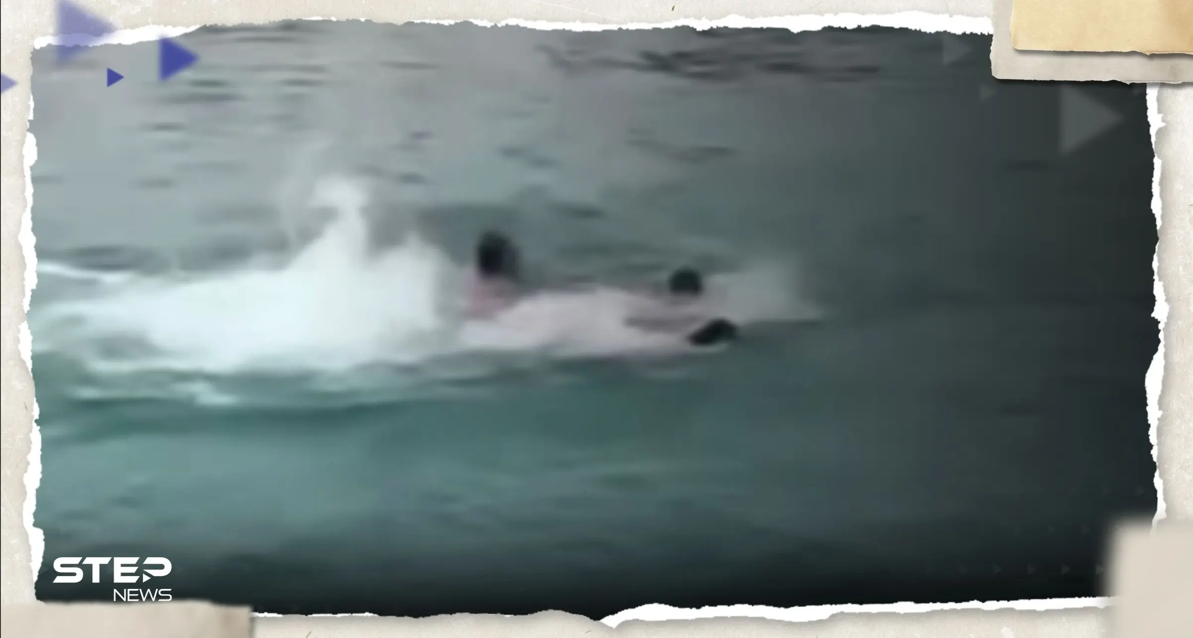 "لحظات رعب لا توصف".. عائلة مصرية كانت قرب القرش القاتل تروي تفاصيل تحبس الأنفاس: حادثة القرش