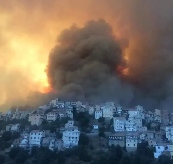 بالفيديو|| لحظات مروعة يعيشها سكان تيزي وزو.. مع ارتفاع أعداد الضحايا وزير الداخلية الجزائري يؤكد أنها "مفتعلة": حرائق الجزائر
