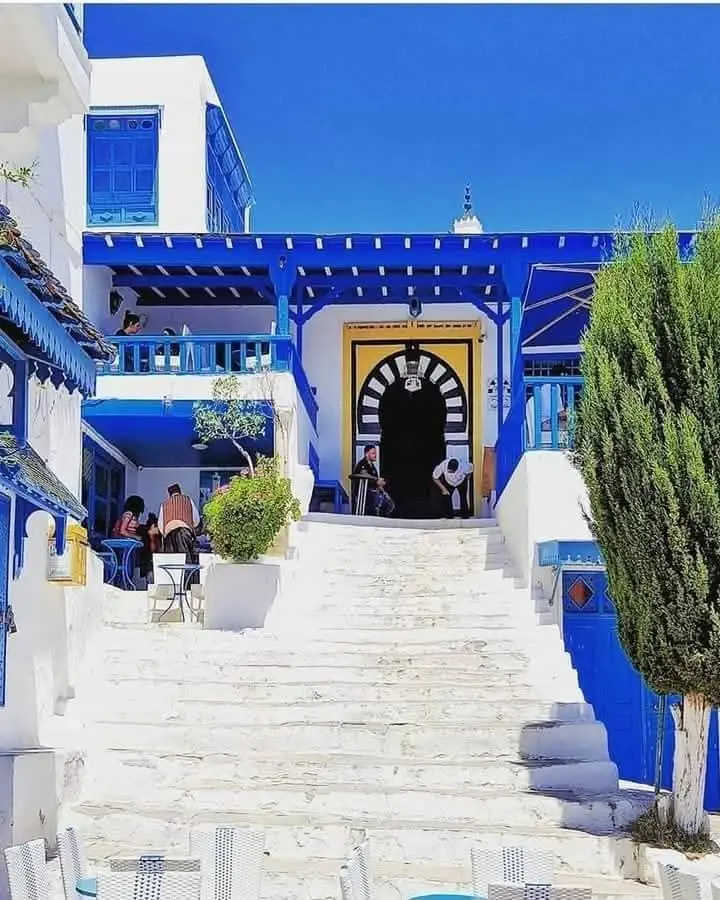 تونس - عدسة الجمهور - وكالة ستيب نيوز