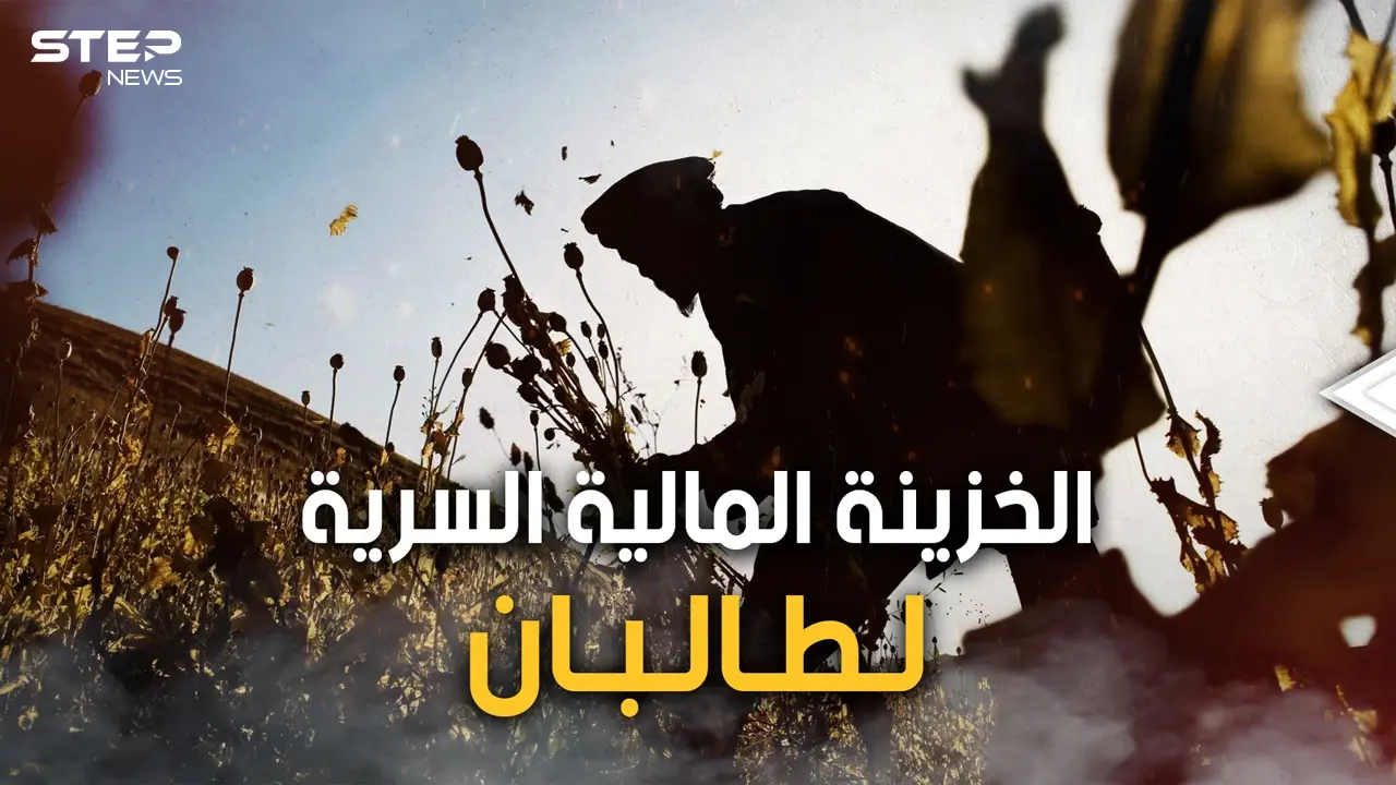 الذهب الأبيض أو النفط الأخضر.. الأفيون تجارة طالبان الرابحة والسلاح الذي تهدد به الغرب: فيديوغراف