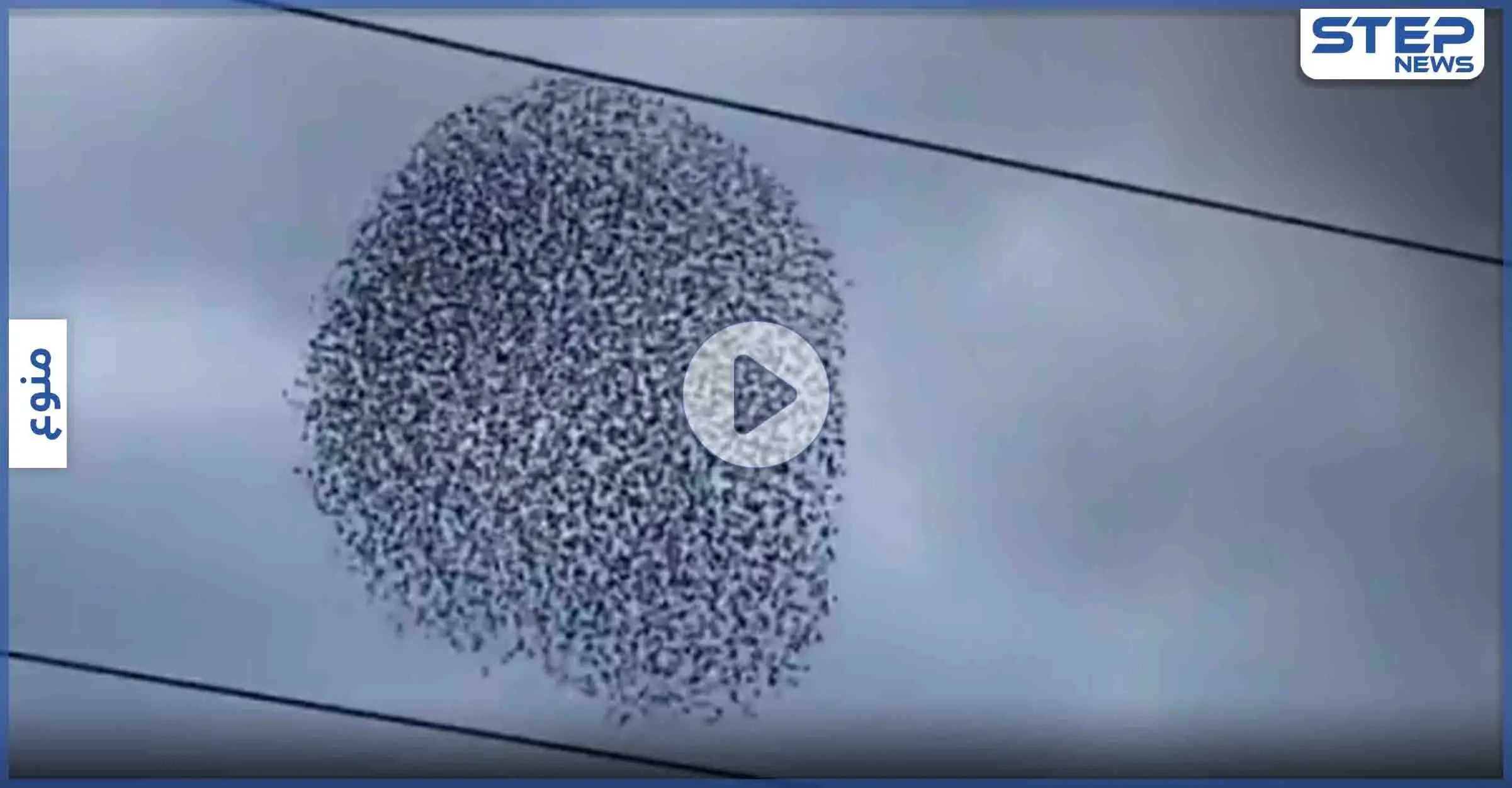 بالفيديو|| جيش من طيور الزرزور تؤدي رقصةً خاصة بتناغمٍ عالٍ في السماء,, بمشهدٍ مذهل: صحيفة ذا صن