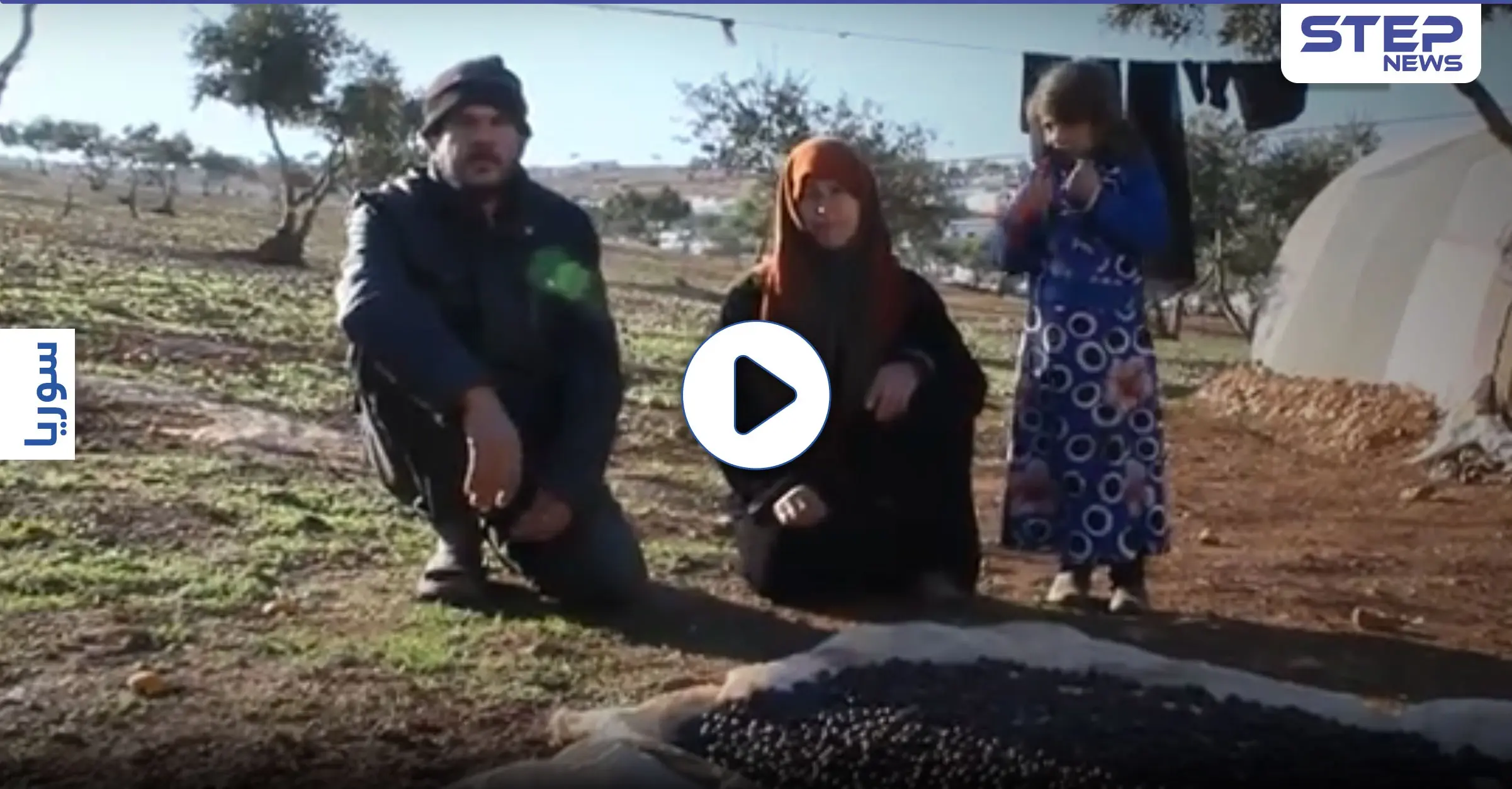 بالفيديو|| "يارب تمطر علينا خبز وطحين".. على الحدود التركية في منفى الوطن تعيش أتعس عائلة نازحة: قطاف الزيتون