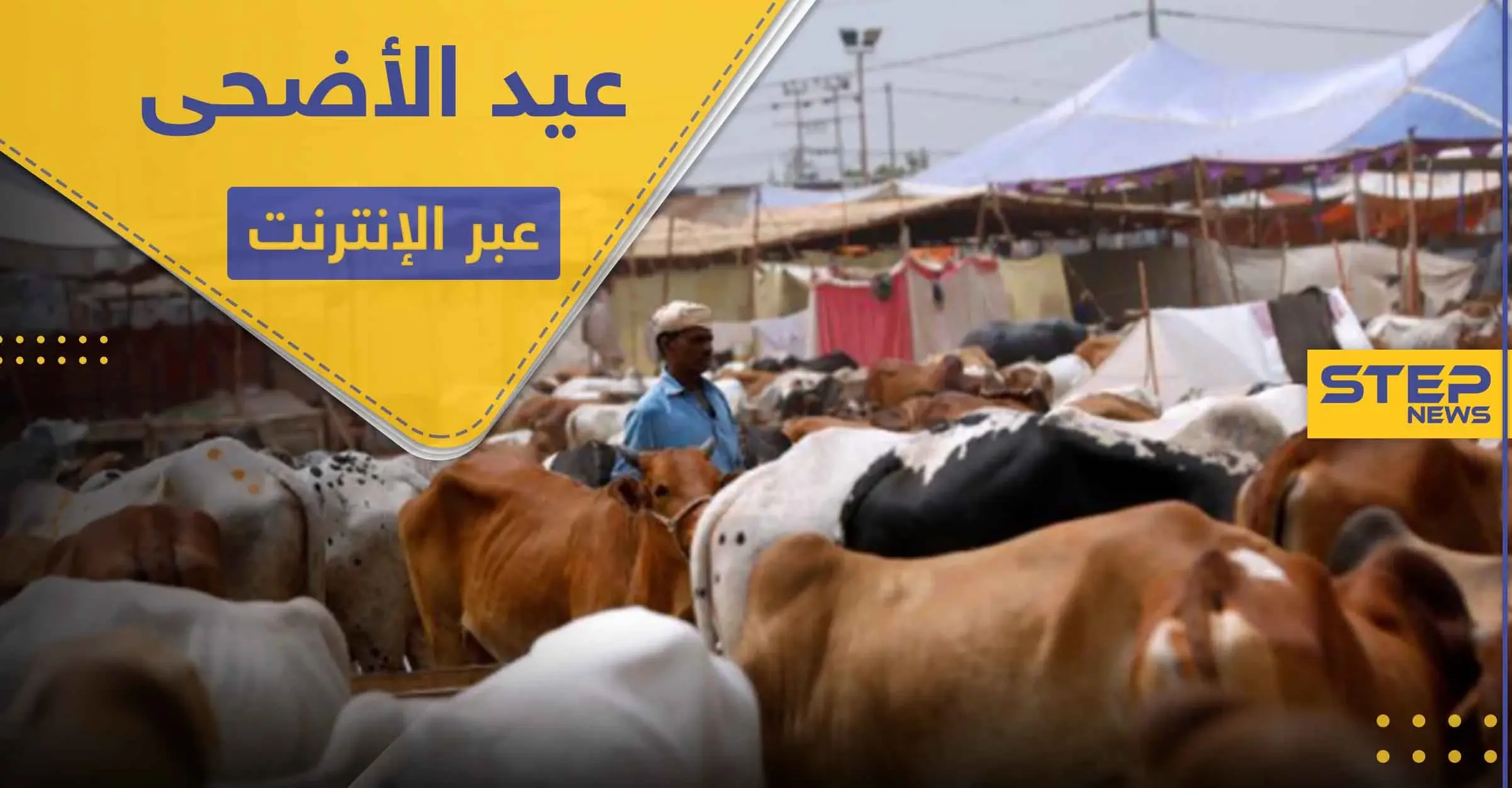 دولة مسلمة تحث مواطنيها على ذبح الأضاحي عبر الإنترنت هذا العيد.. وتبرر موقفها: كراتشي