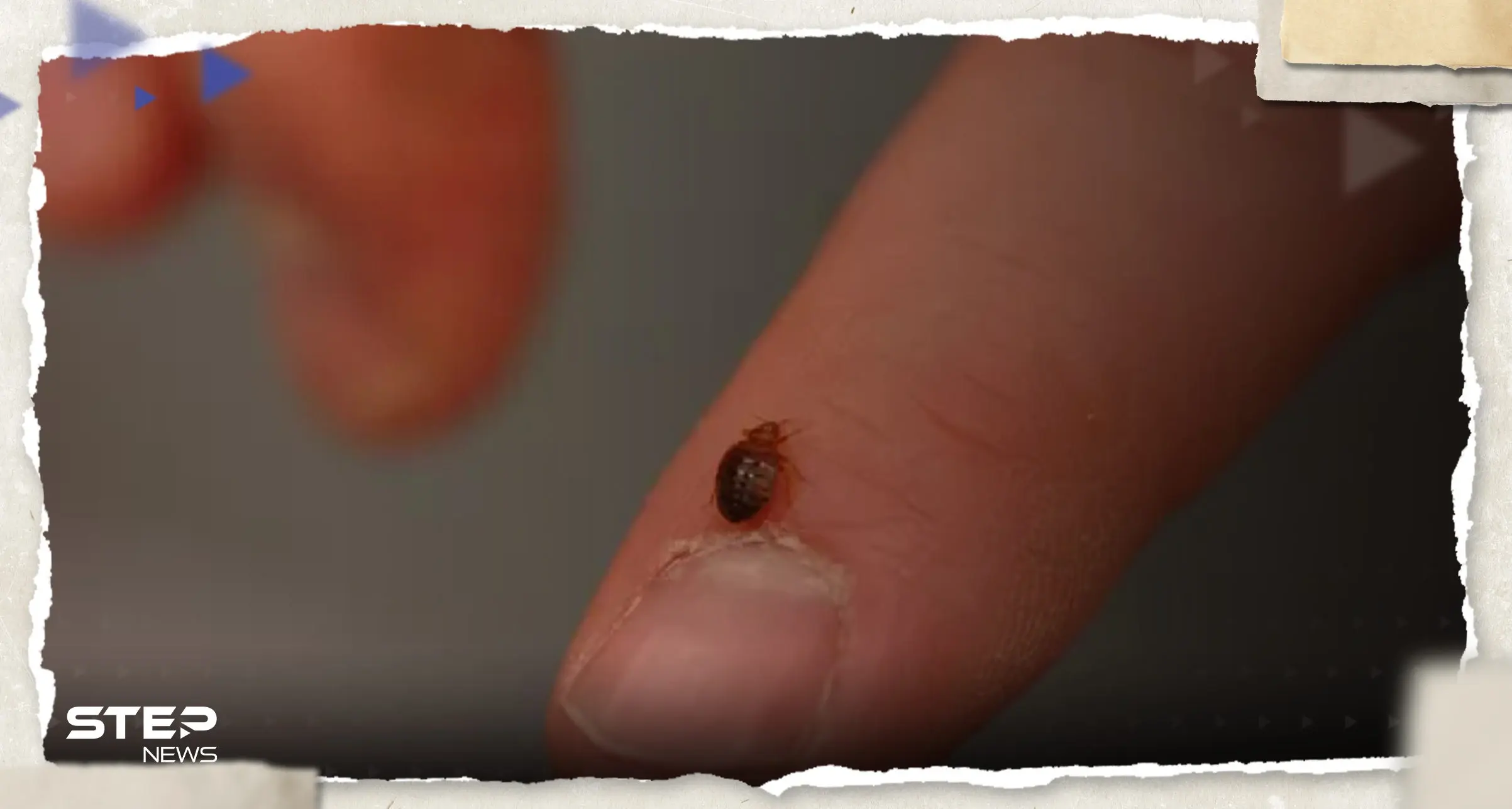 "آفة مزعجة" تنتشر في باريس ومطالب للحكومة الفرنسية بتحرك عاجل: باريس