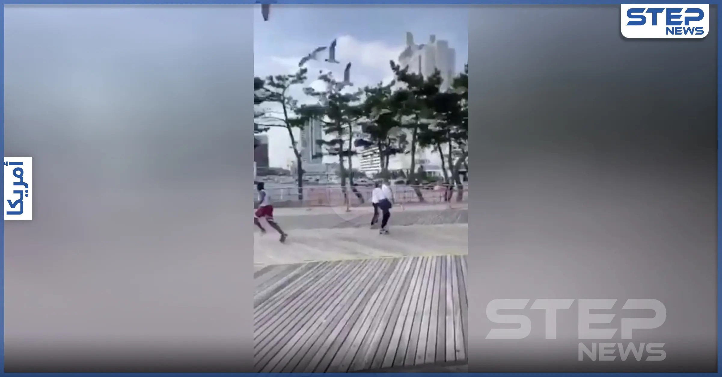 بالفيديو|| طيور النورس.. تلاحق رجلًا أمريكيًا وسط شارع عام وهو يركض بهلع منها: هجوم