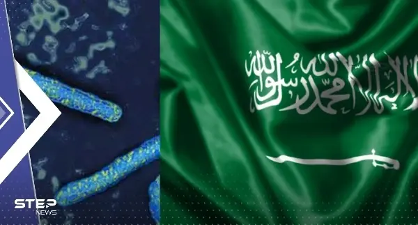 بعد تحذير عُمان.. السعودية توصي مواطنيها بالامتناع عن السفر لدولتين أفريقيتين بسبب فيروس ماربورغ: فيروس ماربورغ