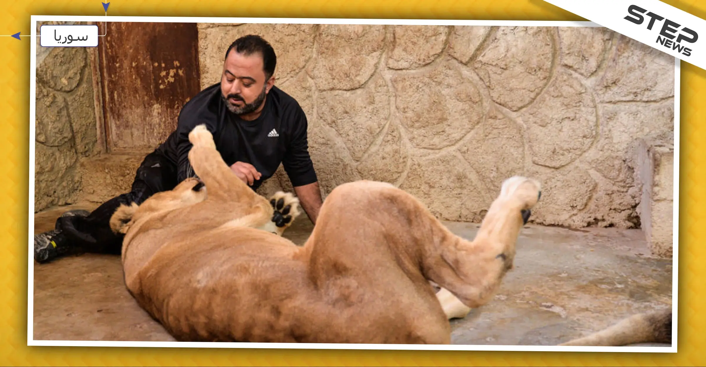 لسبب لن تتوقعه.. سوري يحول منزله إلى حديقة للحيوانات الكاسرة والنادرة (فيديو): حديقة للحيوانات