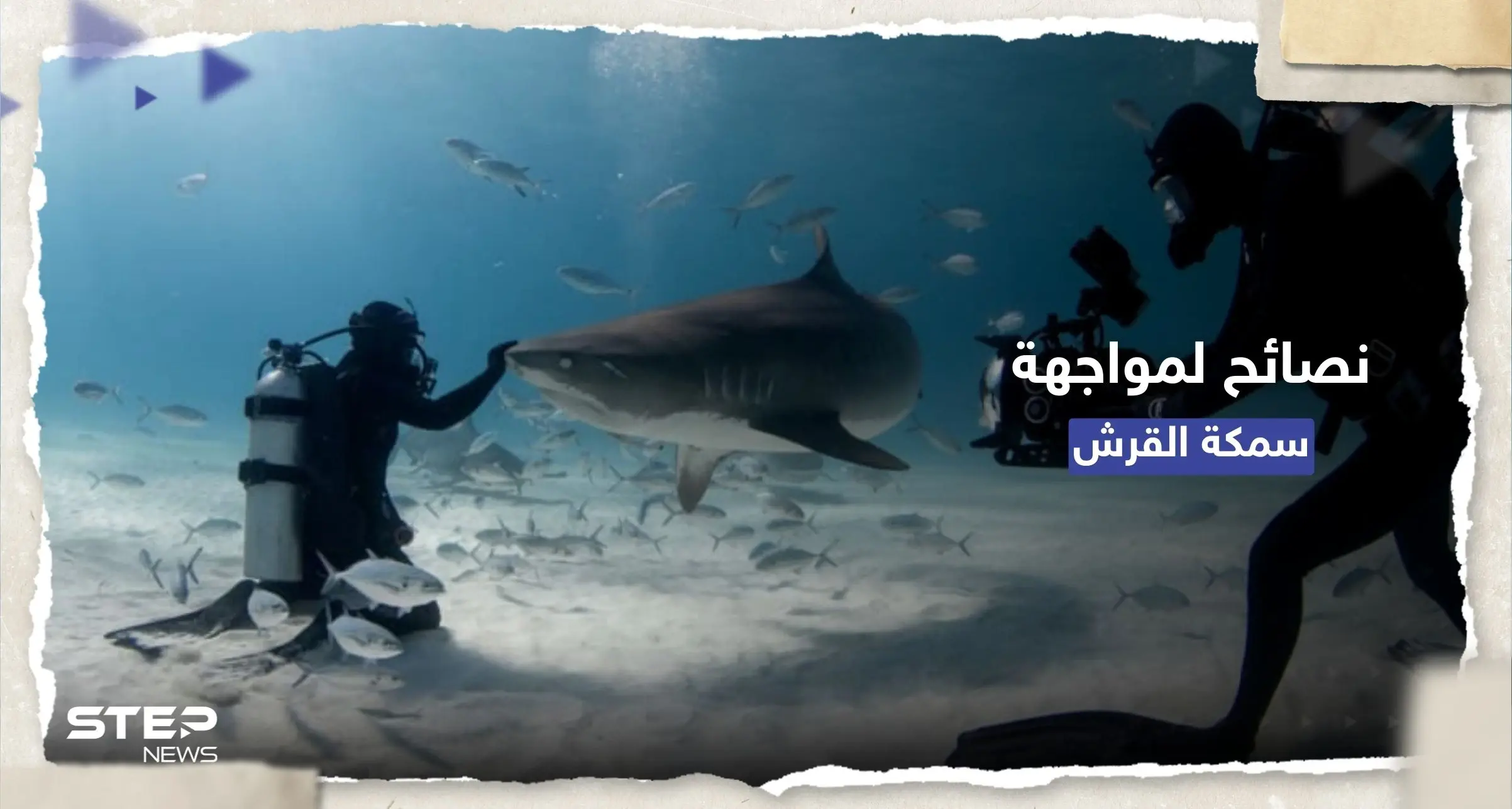 كيف تتصرف حال هاجمك قرش مفترس.. 7 نصائح منها "التصرّف بشجاعة": سائح روسي