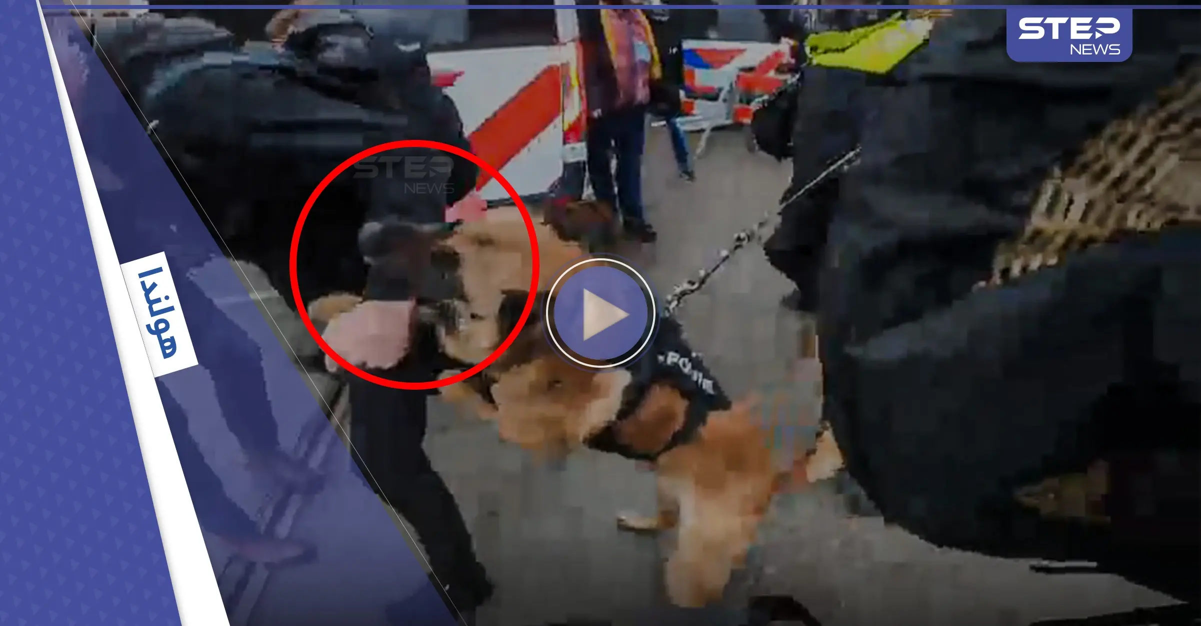 بالفيديو|| مظاهرات حاشدة في العاصمة الهولندية أمستردام ضد قرارٍ حكومي.. والكلاب البوليسية تهاجم المتظاهرين: انتهاكات