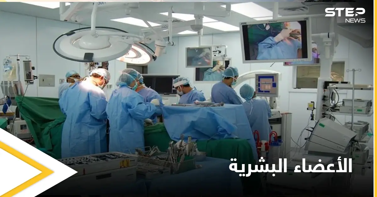 أطباء إسرائيليون يطورون عضواً هجيناً من "الإنسان والخنزير" لحل مشكلة نقص الأعضاء البشرية: عضو هجين