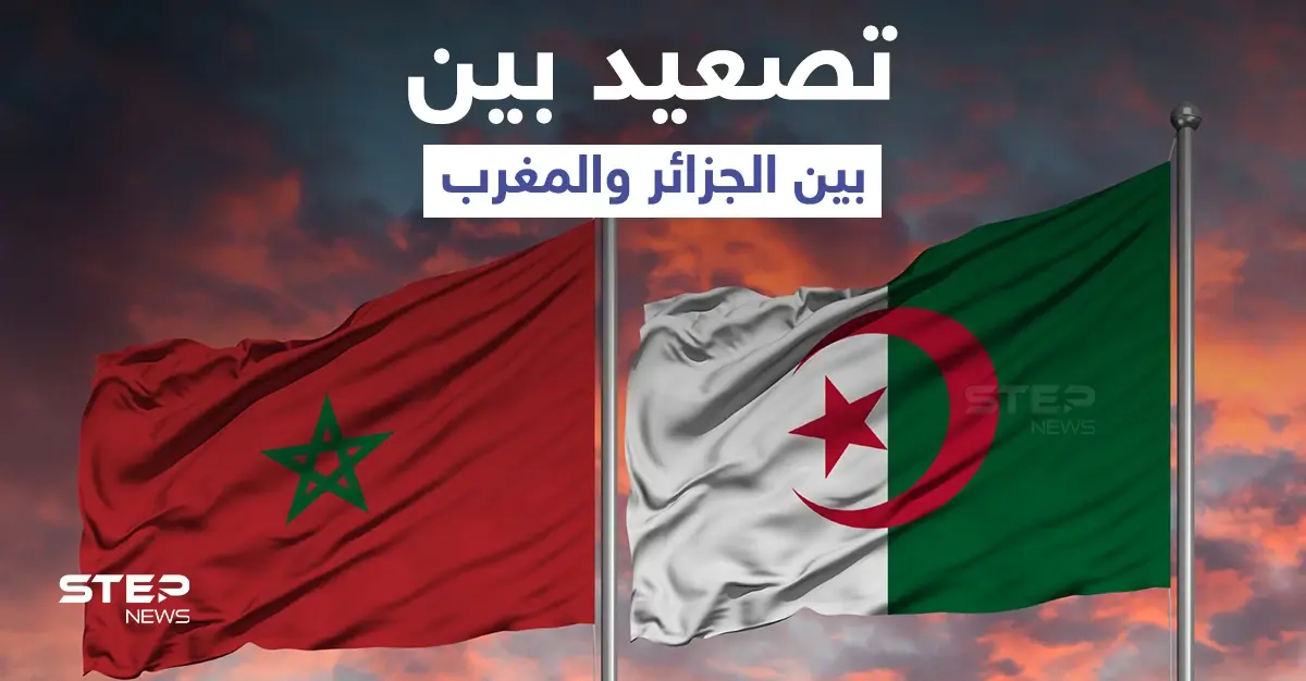 حالة حرب... الجزائر تنسحب من اجتماع مع المغرب حول قضية الصحراء وتصعّد التوتّر: عمار بلاني