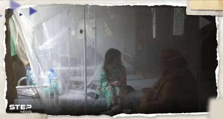 حمى الضنك ستهدد مناطق جديدة حول العالم خلال العقد الجاري.. الصحة العالمية تحذر: وباء عالمي جديد