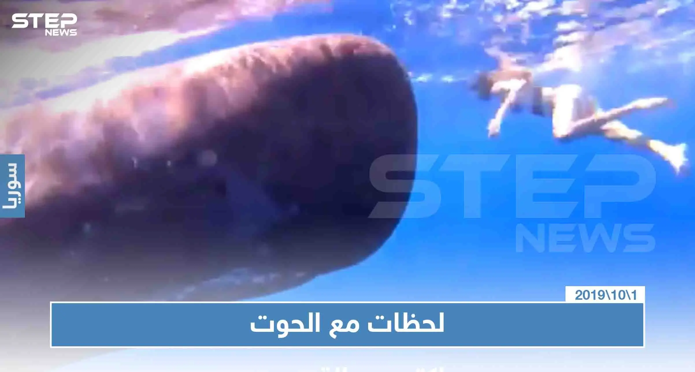 فتاة تسبح أمام الحوت في المحيط الهندي واصفة اللحظة أنها "لاتقدر بثمن": الحوت