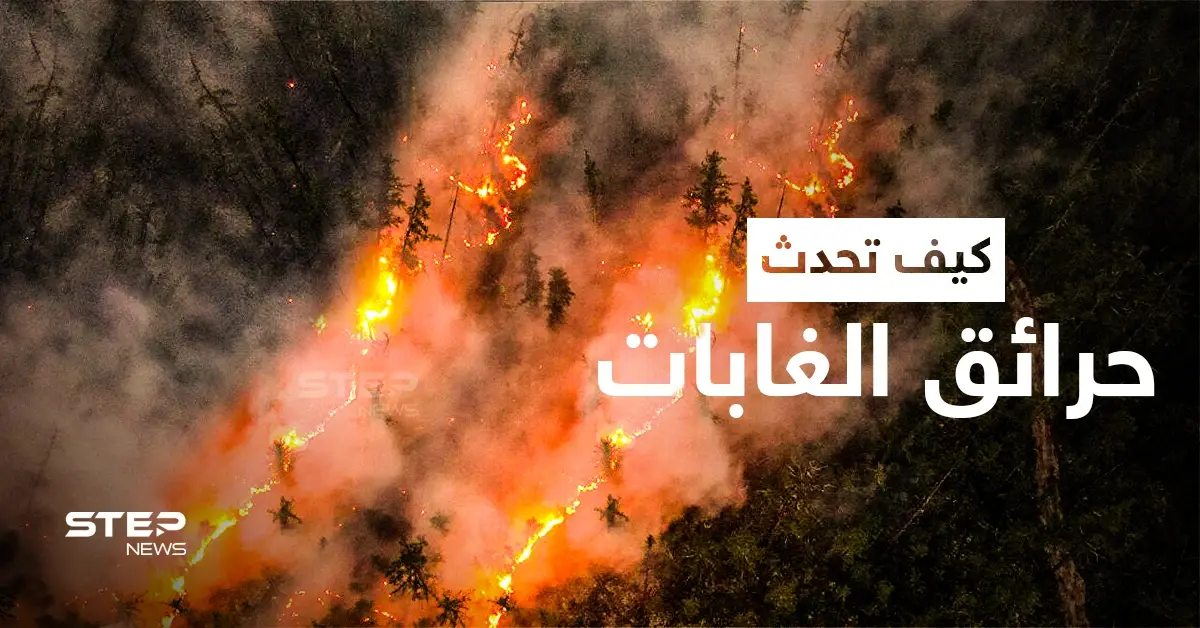 كيف تحدث حرائق الغابات ... تعرّف على عوامل انتشارها: رجال الإطفاء