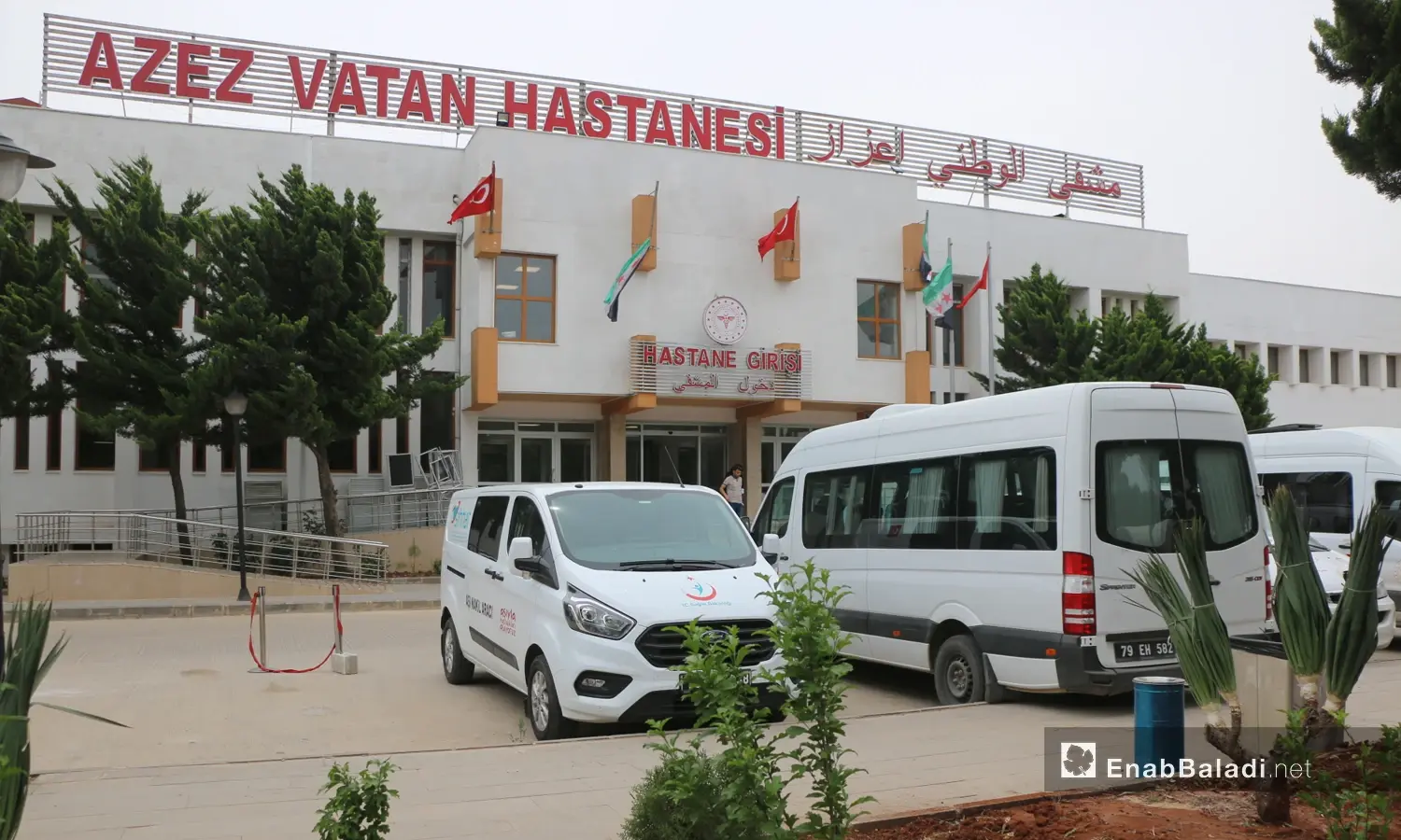 بالفيديو|| أطفال مدينة أعزاز ضحايا "ذباب البوت" تعرّف عليه ومضاعفات الإصابة بلسعاته: أخبار وتقارير